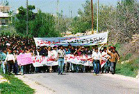 Photo: Student marchers half-way between the university and Ramallah.