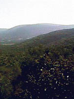 Photo: Birzeit village from Mustafa's house